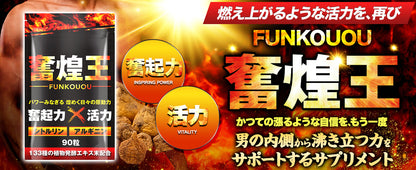 【男の自信】奮煌王 マカ サプリ 亜鉛 シトルリン アルギニン ふんこうおう ペルー産 濃縮マカ 厳選133種 90粒