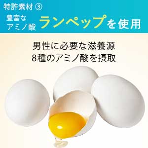 ペプチア サプリメント 現役専門医開発監修 180粒 約1カ月分 マカ ランペップ 亜鉛 妊活 特許配合 栄養機能食品 peptia