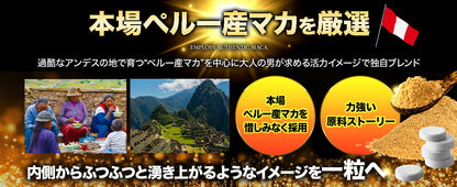 【男の自信】奮煌王 マカ サプリ 亜鉛 シトルリン アルギニン ふんこうおう ペルー産 濃縮マカ 厳選133種 90粒