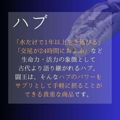 ファイターキング 闘王 60粒約1ヵ月分 公式ガイドブック付き [ クラチャイダム ハブ 山参 マカ 黒ゴマ イミダゾールペプチド ]