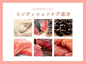 【胚培養士監修】男性 妊活 サプリ マカ 亜鉛 PQQ ミトコンドリア コエンザイムQ10 葉酸 トンカットアリ ビタミンD B6 B12 妊活 妊娠 活力支援 エナジーハニー 無添加 安全臨床試験済 BELTA ベルタ ベルタランシード 90粒×6袋(180日分)