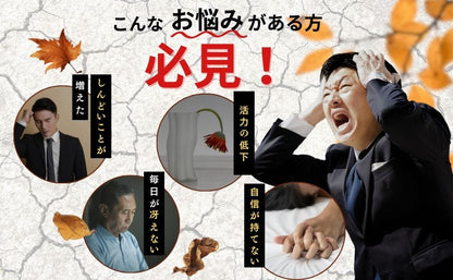 ファイターキング 闘王 60粒約1ヵ月分 公式ガイドブック付き [ クラチャイダム ハブ 山参 マカ 黒ゴマ イミダゾールペプチド ]