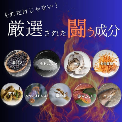 ファイターキング 闘王 60粒約1ヵ月分 公式ガイドブック付き [ クラチャイダム ハブ 山参 マカ 黒ゴマ イミダゾールペプチド ]
