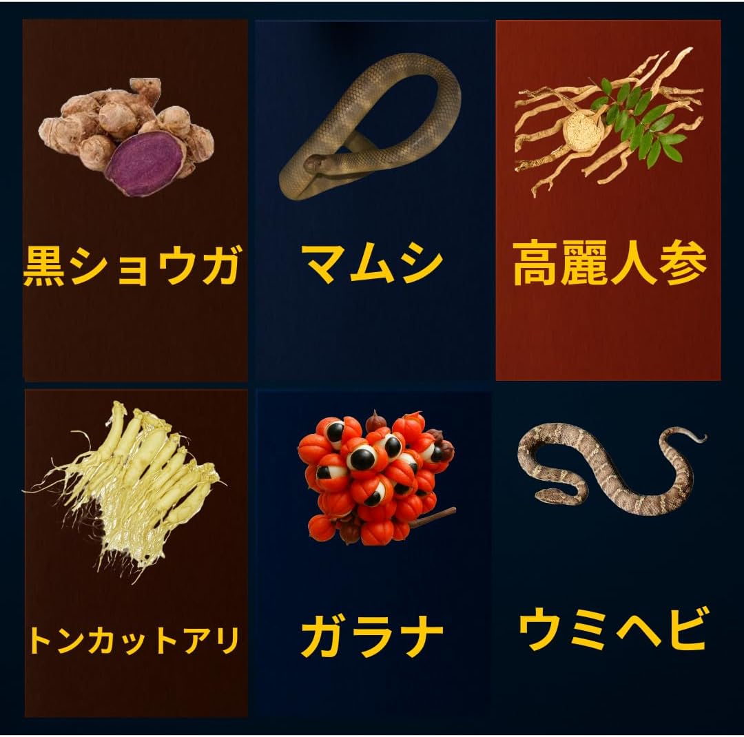 【よみがえる自信】Vigarian 30粒入り マムシ ウミヘビ 高麗人参 トンカットアリ ガラナ 黒ショウガ 高配合 6つのパワー