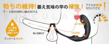 Kyosoo アナルプラグ アナルバイブ 前立腺マッサージ 【9振動モード＋ペニスリング付き】前立腺刺激 メスイキ アナル拡張 USB充電 リモコン付き SM 人気  [アダルト]