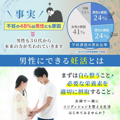 PLATINUM 妊活 サプリ 男性の妊活サポート 有機マカ シトルリン 高配合 亜鉛 葉酸 特許成分 16種類の活力成分 30日分 (単品)