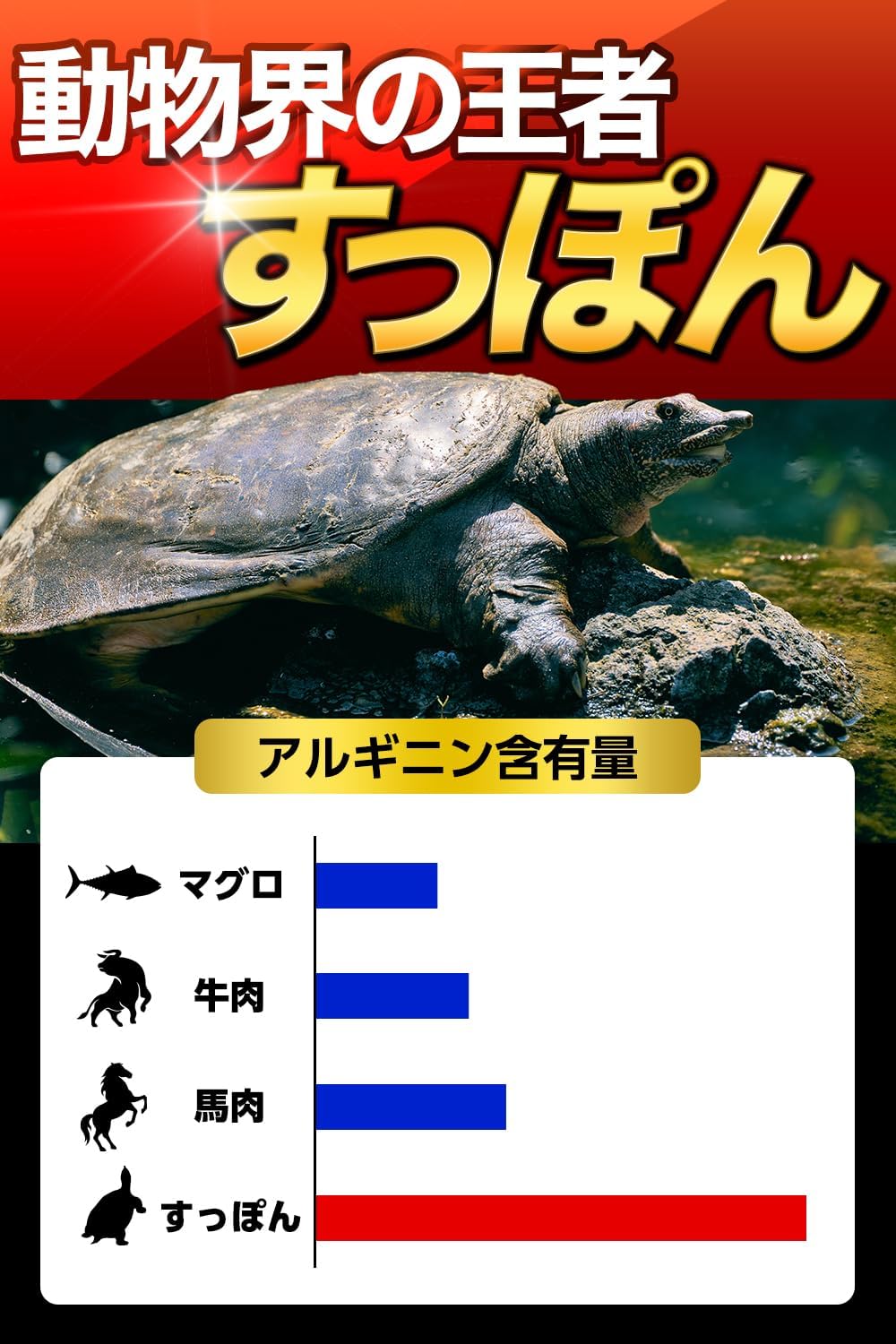 獣王BEAST クラチャイダム トンカットアリ すっぽん アルギニン シトルリン 亜鉛 厳選成分15日分日本製 (1袋)
