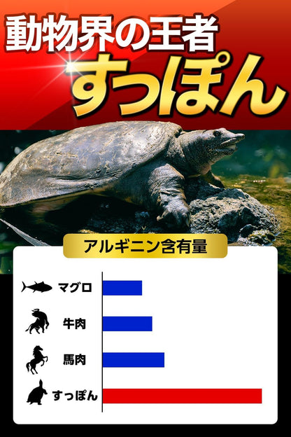 獣王BEAST クラチャイダム トンカットアリ すっぽん アルギニン シトルリン 亜鉛 厳選成分15日分日本製 (1袋)