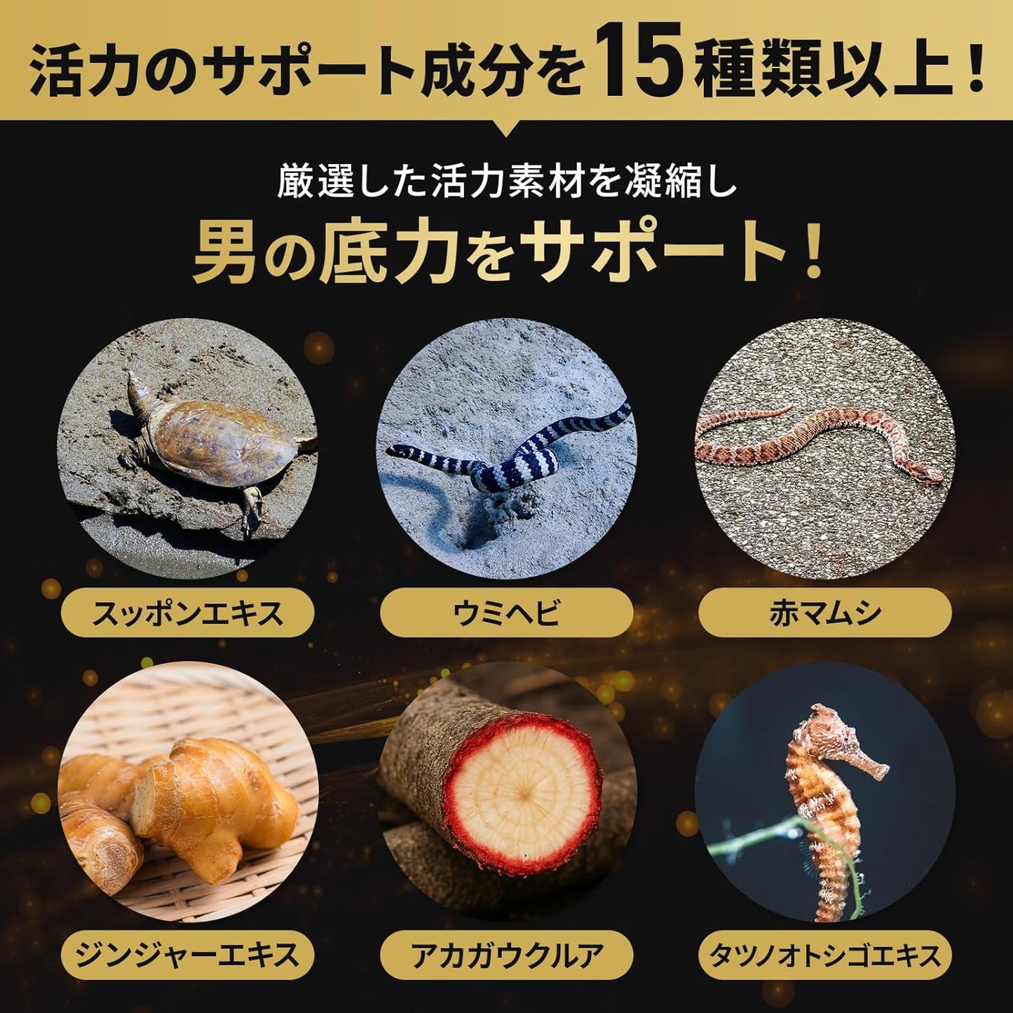 葉酸 サプリ 男性用 マカ シトルリン アルギニン 亜鉛 トンカットアリ プレパパの妊活サポート