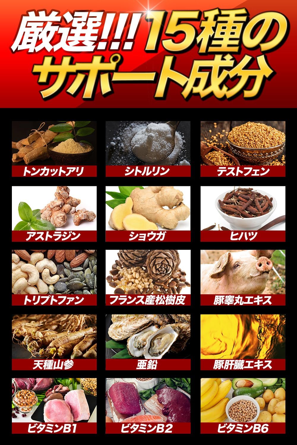 獣王BEAST クラチャイダム トンカットアリ すっぽん アルギニン シトルリン 亜鉛 厳選成分15日分日本製 (1袋)