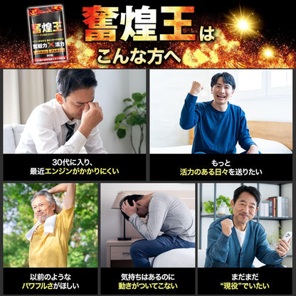 【男の自信】奮煌王 マカ サプリ 亜鉛 シトルリン アルギニン ふんこうおう ペルー産 濃縮マカ 厳選133種 90粒