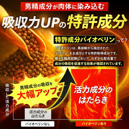 【クリニック共同開発】 GRAN FORCE (グランフォース) スッポン クラチャイダム ビール酵母 高麗人参 L-シトルリン L-アルギニン マカ 亜鉛 カンカエキス ローヤルゼリー シラジットエキス 厳選成分配合 サプリ 国内生産 30粒入り 3個セット