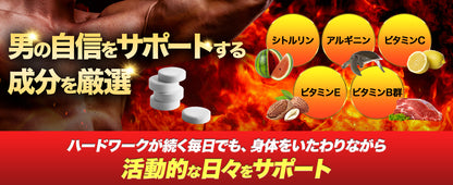 【男の自信】奮煌王 マカ サプリ 亜鉛 シトルリン アルギニン ふんこうおう ペルー産 濃縮マカ 厳選133種 90粒