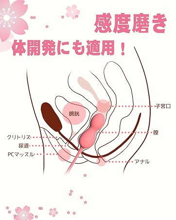 ローター 女性用 静か あだるとグッズ 女性 遠隔操作 バイブ 膣トレーニンググッズ 膣トレ インナーボール 膣トレボール ゲイシャボール 【10種類振動+遠隔操作】 バイブ 女性用 中いき 大人のおもちゃ おもちゃ 大人 遠隔ローター 膣 感度磨き とびっこ 出産後の締まり 尿漏れ〇策 ラブグッズ 柔らかいシリコン 防水 USB 充電式  [アダルト]