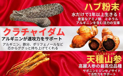 ファイターキング 闘王 60粒約1ヵ月分 公式ガイドブック付き [ クラチャイダム ハブ 山参 マカ 黒ゴマ イミダゾールペプチド ]