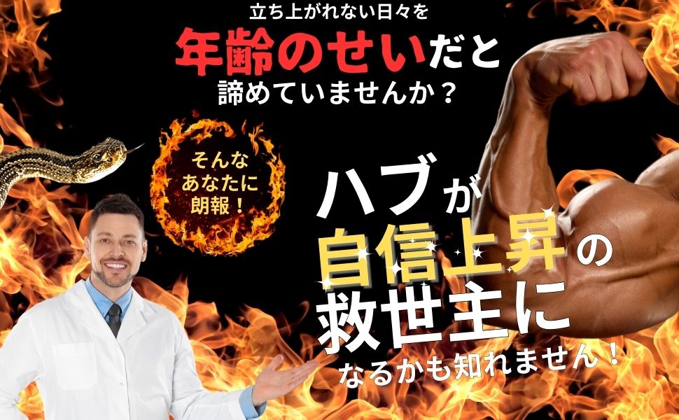 ファイターキング 闘王 60粒約1ヵ月分 公式ガイドブック付き [ クラチャイダム ハブ 山参 マカ 黒ゴマ イミダゾールペプチド ]